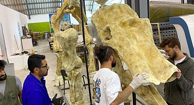 7,5 MİLYON YILLIK FOSİL DÜNYA PALEONTOLOJİNE IŞIK TUTUYOR